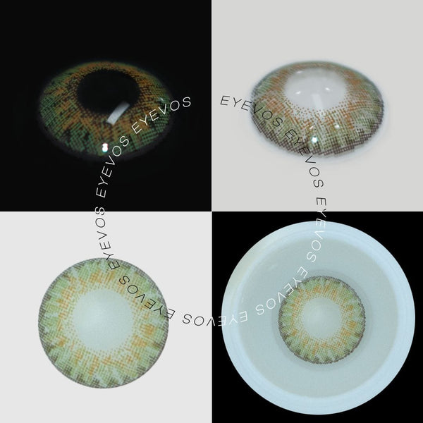 Daisies Fields Contact Lenses(12 months of use)