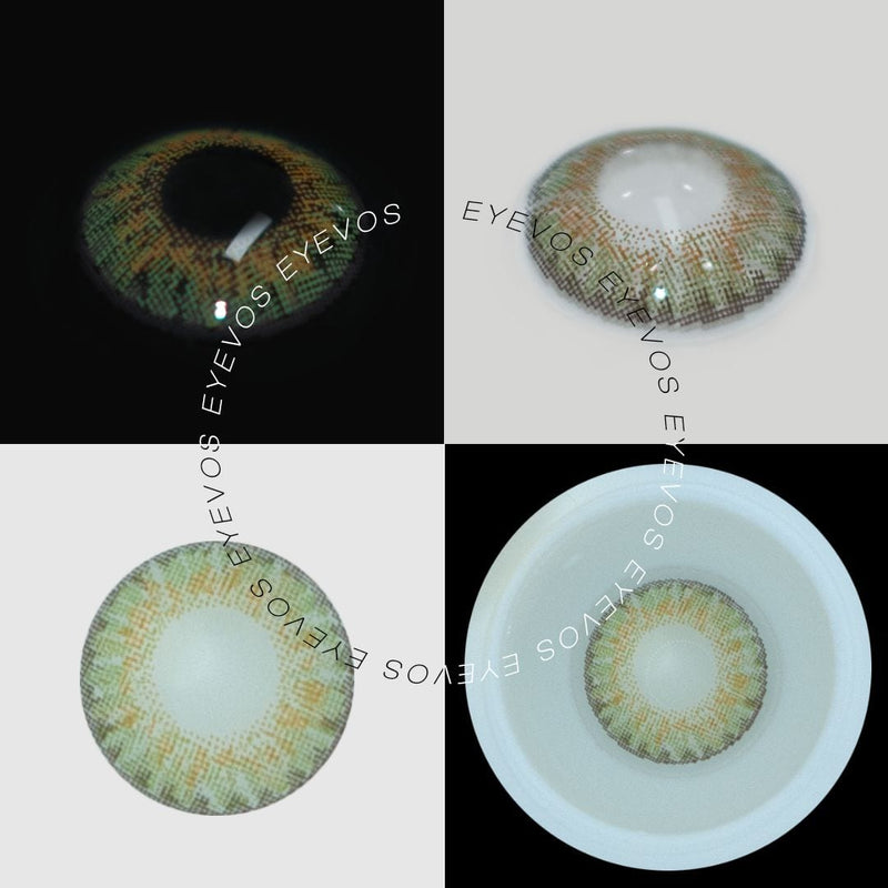 Daisies Fields Contact Lenses(12 months of use)