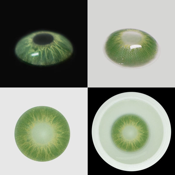 Tree of Life Contact Lenses(12 months of use)